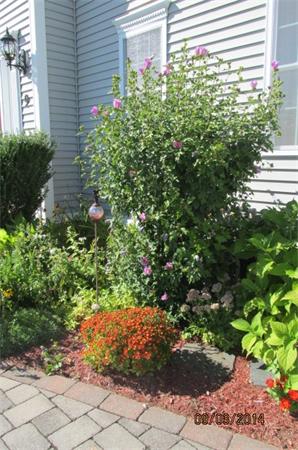 9 Jonathan Circle Rutland, MA 01543 - Photo 28 of 30