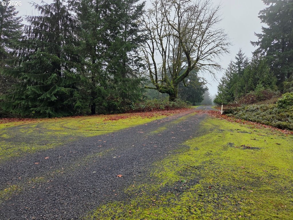 a view of a field with trees in the background