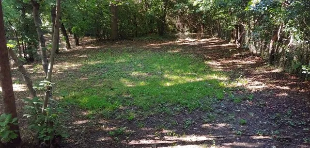 a view of outdoor space with trees all around