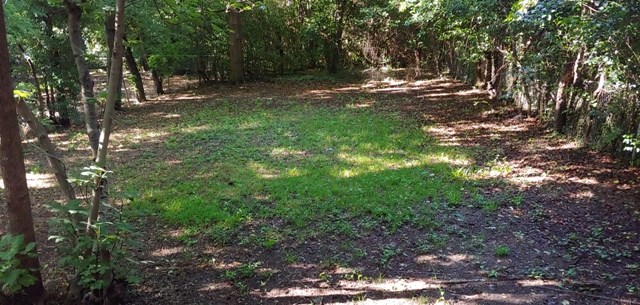 918 Dozier Street Columbus, GA 31904 - Photo 12 of 12 a view of outdoor space with trees all around