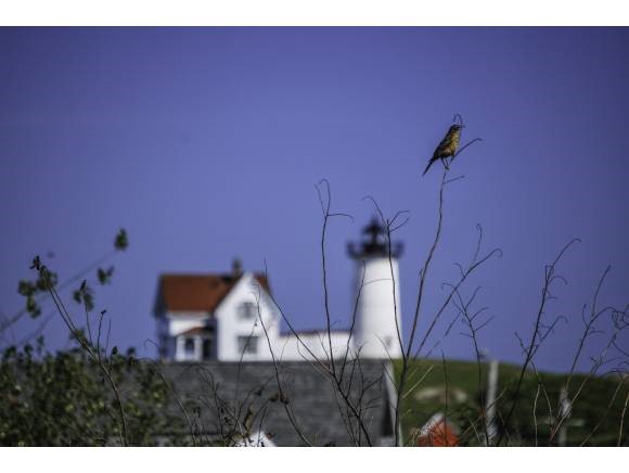 48 Spring Street York, ME 03909 - Photo 1 of 1 Gallery Image 1
