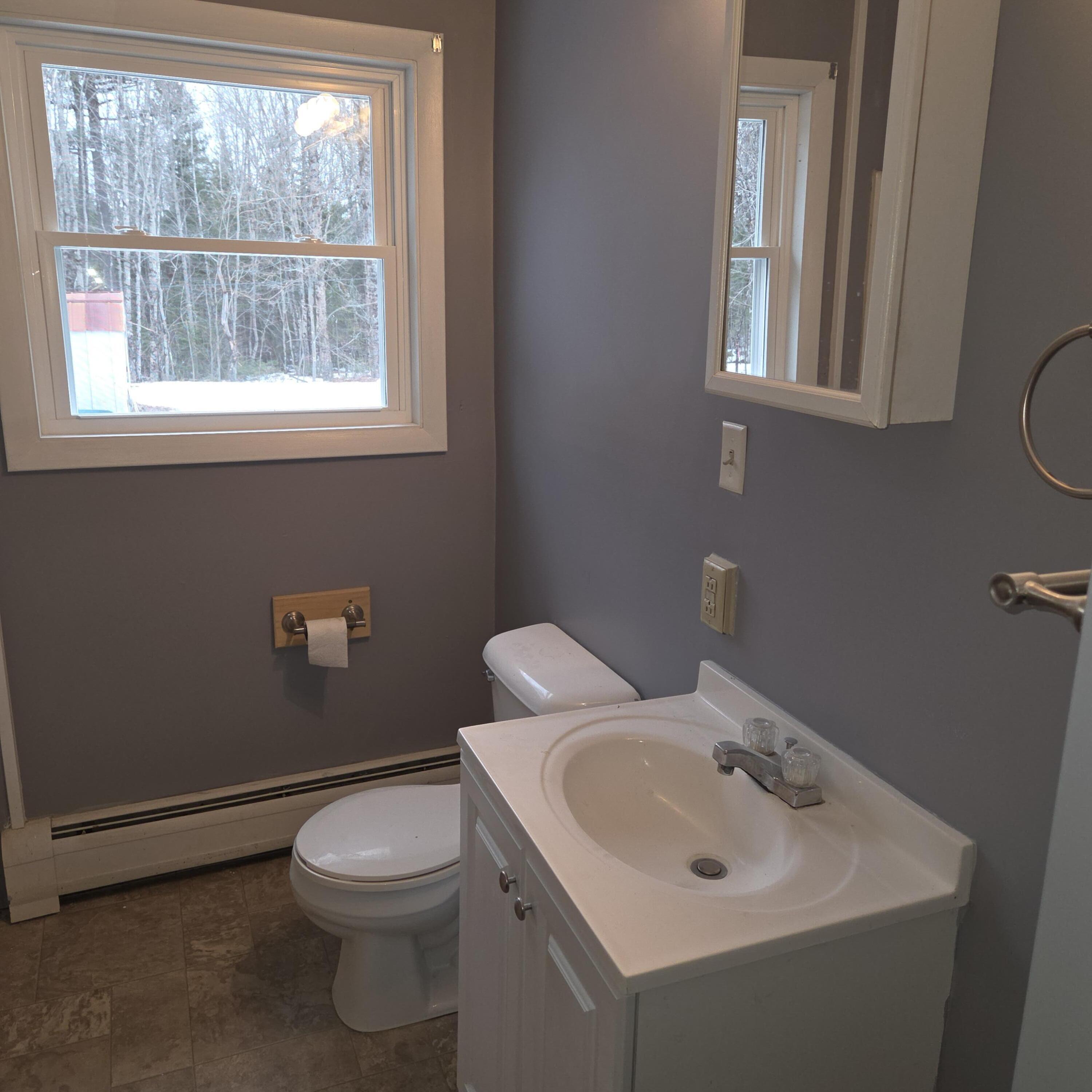 394 Transalpine Road Lincoln, ME 04457 - Photo 12 of 27 20260309_133350