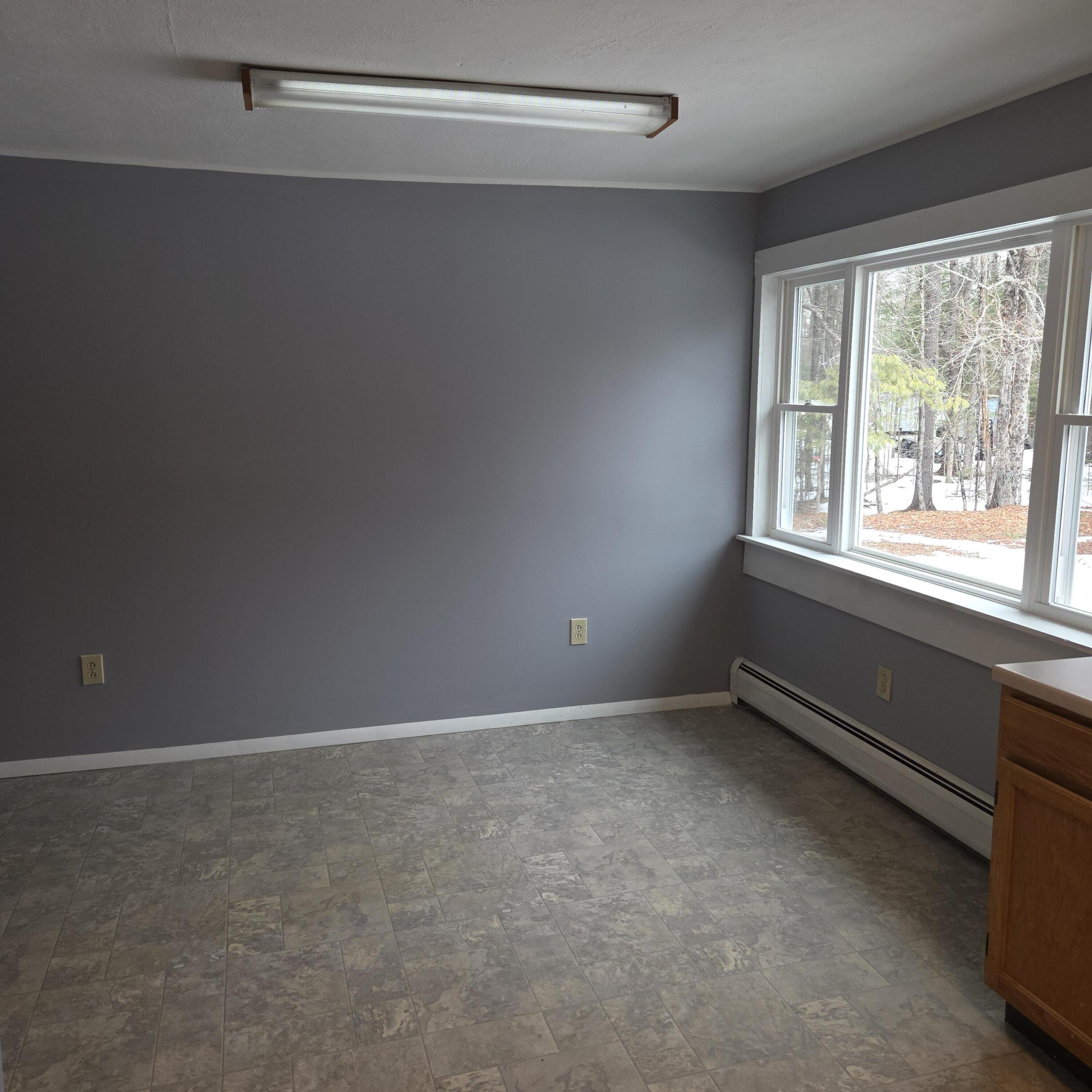 394 Transalpine Road Lincoln, ME 04457 - Photo 7 of 27 20260309_133235