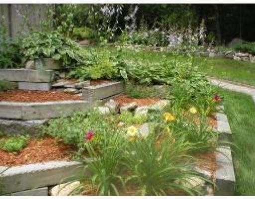 136 Middle Road Boxborough, MA 01719 - Photo 2 of 12 a view of a yard with plants