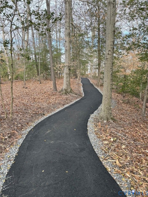 10525 Stony Blf Drive, Unit 205 Ashland, VA 23005 - Photo 8 of 9