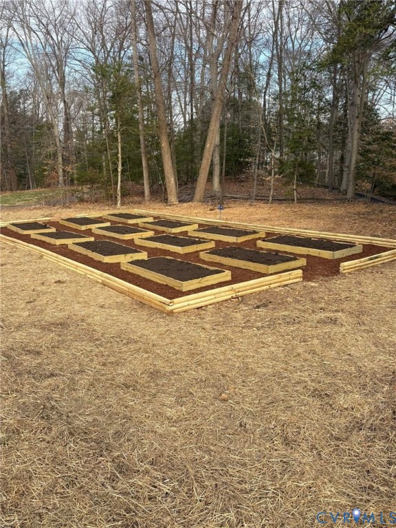 10525 Stony Blf Drive, Unit 205 Ashland, VA 23005 - Photo 9 of 9 a view of a house with a yard