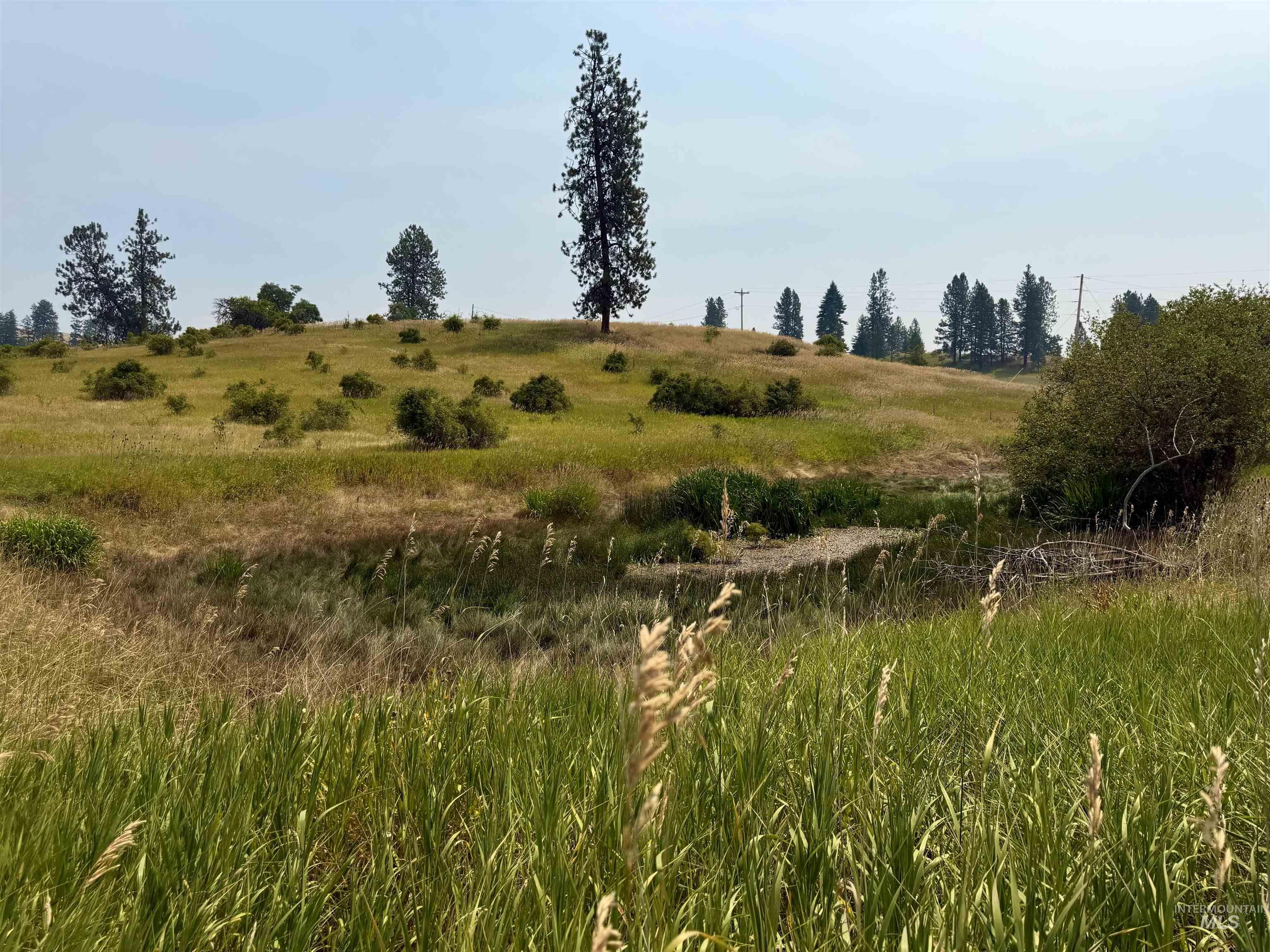 1003 Beaver Slide Road Kamiah, ID 83536 - Photo 1 of 19 Gallery Image 1
