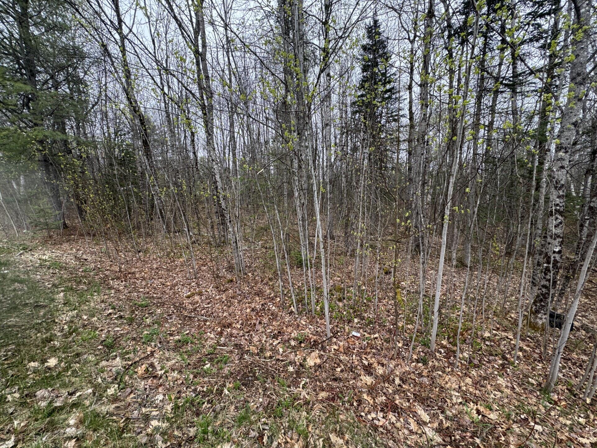 Lot 23 North Dixmont Road Dixmont, ME 04932 - Photo 4 of 5