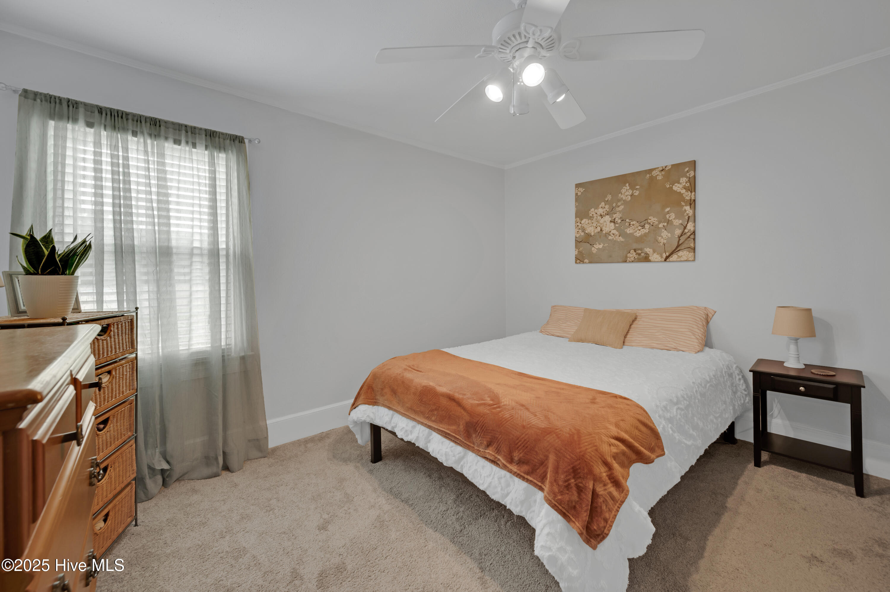 3183 Wallace Family Road Kinston, NC 28501 - Photo 22 of 44 3183 Wallace Family Road-29