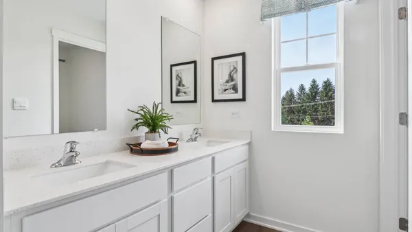 a bathroom with a sink a vanity and a potted plant