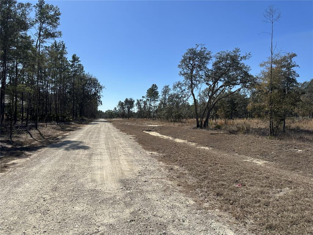 13331 Haven Trail Weeki Wachee, FL 34614 - Photo 3 of 6