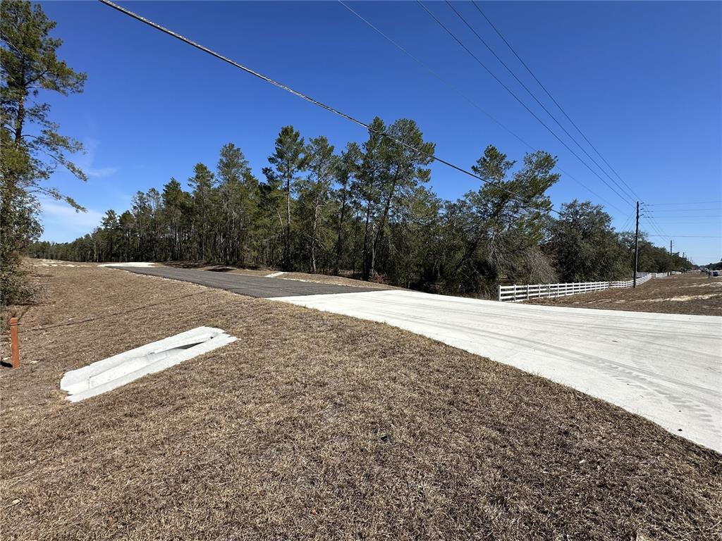 13331 Haven Trail Weeki Wachee, FL 34614 - Photo 6 of 6