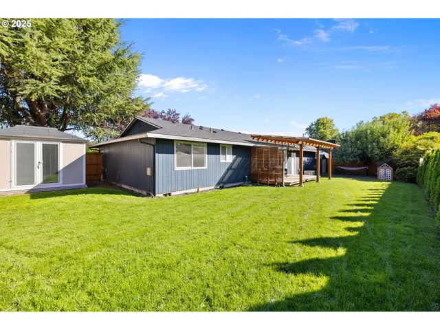 a view of a trees in a park