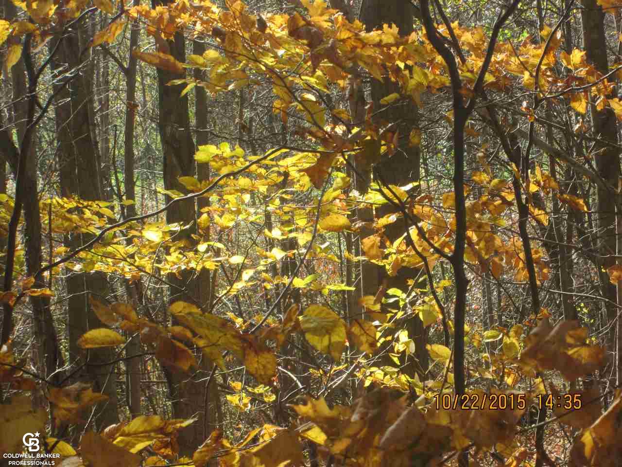 0 Meskill Road Richmond, MI 48062 - Photo 16 of 16