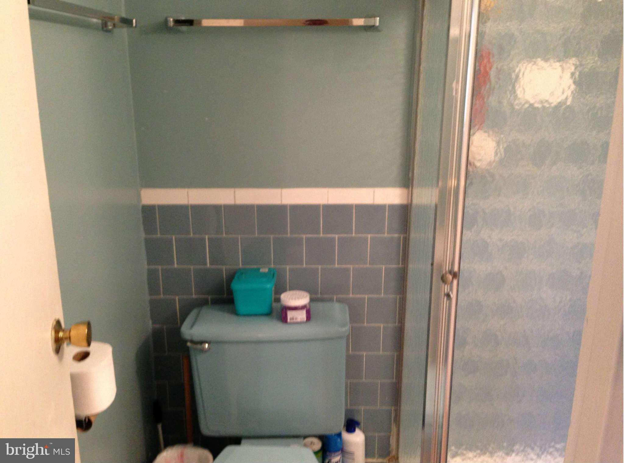 3844 Bel Pre Road, Unit 3153 Silver Spring, MD 20906 - Photo 23 of 25 Bath (Master)