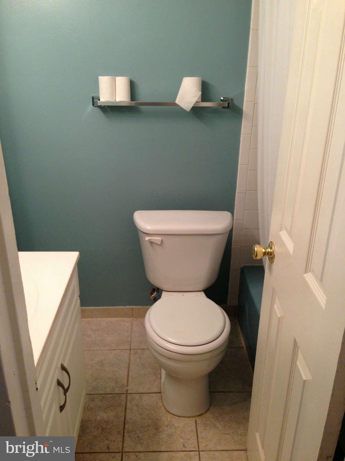 3844 Bel Pre Road, Unit 3153 Silver Spring, MD 20906 - Photo 24 of 25 Bath