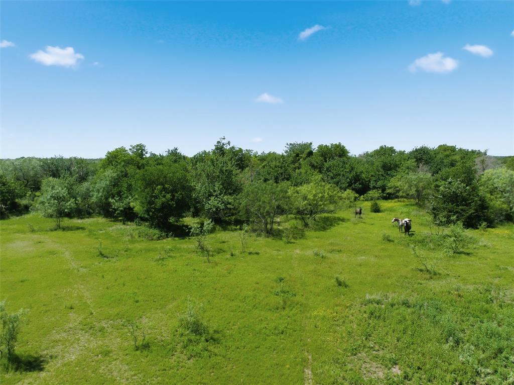 663 North Katy Road Elm Mott, TX 76640 - Photo 7 of 25 Expansive green pastureland bordered by mature trees