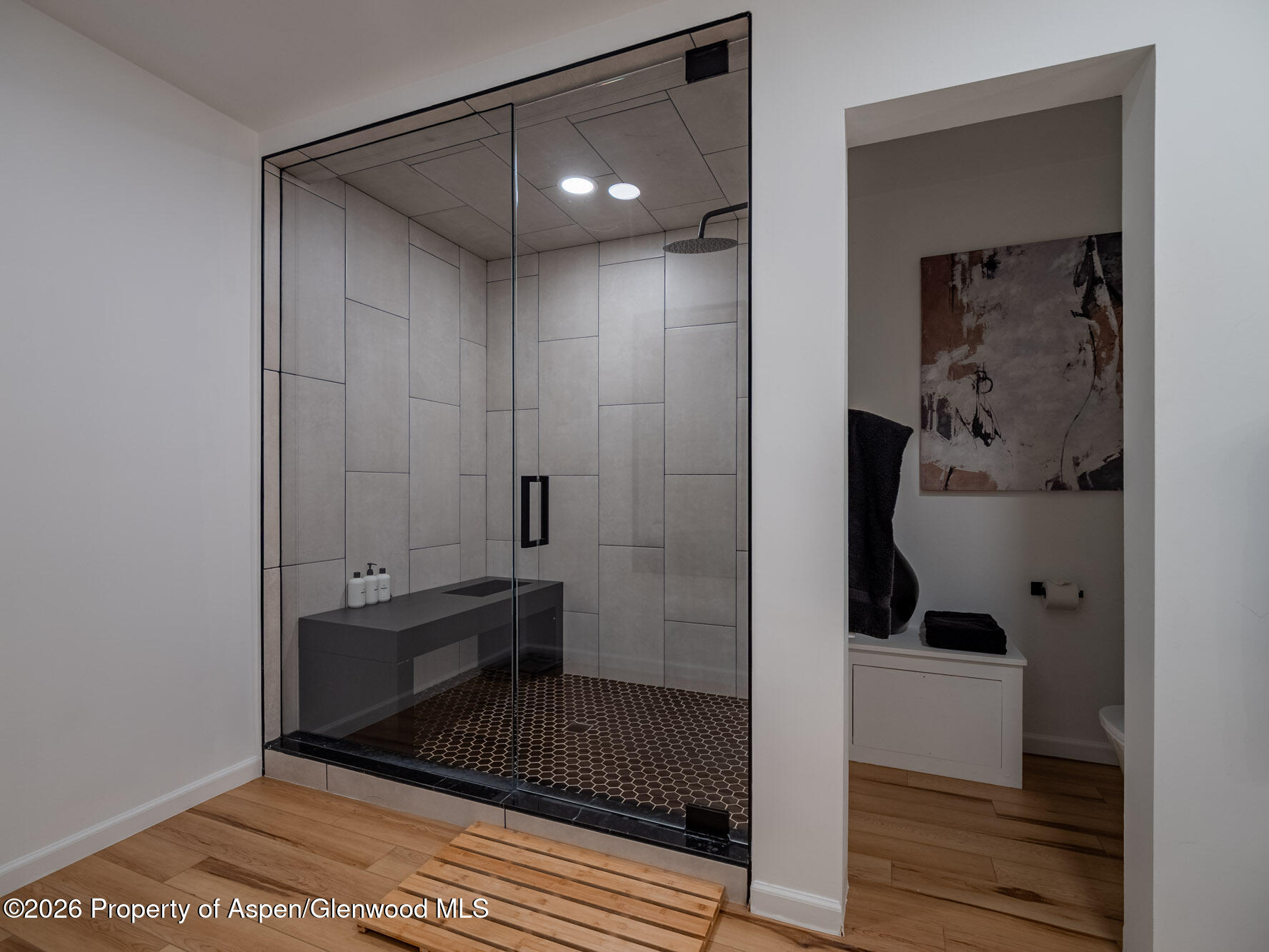 107 Aspen Mountain Road, Unit 3 Aspen, CO 81611 - Photo 4 of 23 MLS - 107 Aspen Mountain Road Unit 3 - A