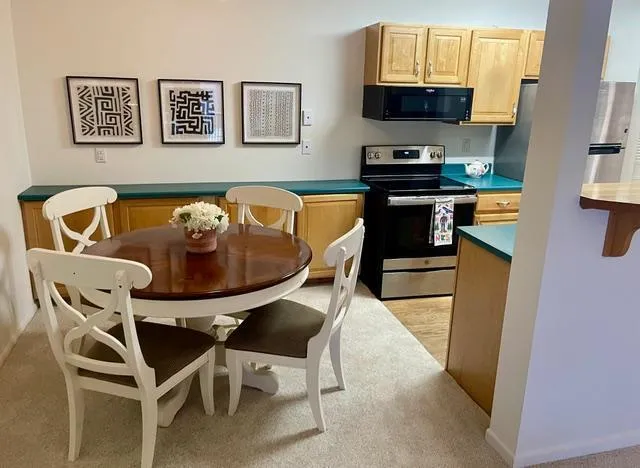 $89,000 | 10113 West 34th Street, Unit 335, Hopkins, MN 55305