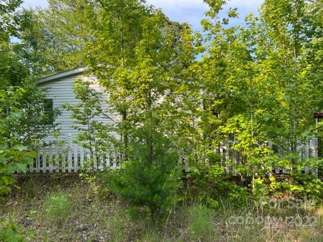 270 Adams Road Rutherfordton, NC 28139 - Photo 2 of 31 a view of a tree in a yard