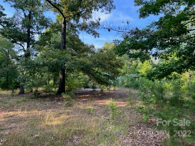 270 Adams Road Rutherfordton, NC 28139 - Photo 23 of 31 a view of a forest with trees in the background