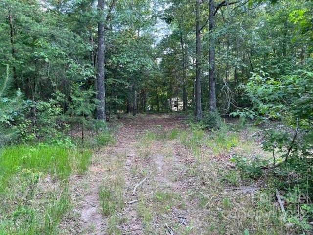 270 Adams Road Rutherfordton, NC 28139 - Photo 24 of 31 a big yard with lots of green space and deers