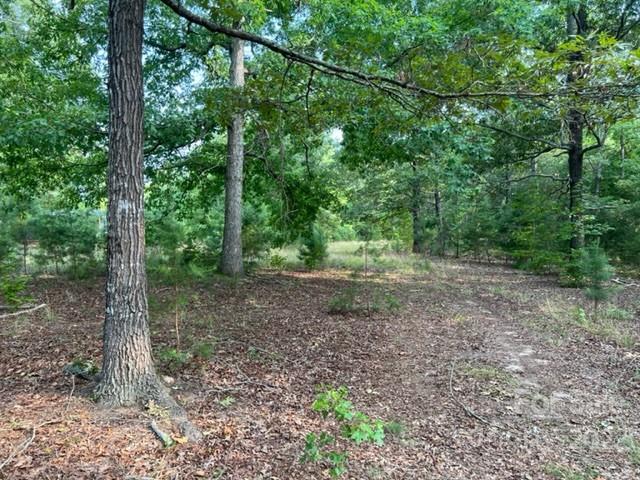 270 Adams Road Rutherfordton, NC 28139 - Photo 25 of 31 a view of a forest that has a tree