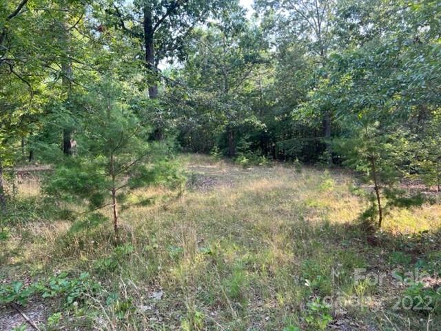 270 Adams Road Rutherfordton, NC 28139 - Photo 26 of 31 a view of a forest with trees in the background