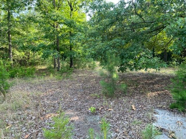 270 Adams Road Rutherfordton, NC 28139 - Photo 27 of 31 a view of a yard