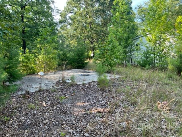 270 Adams Road Rutherfordton, NC 28139 - Photo 28 of 31 a view of a forest with trees in the background