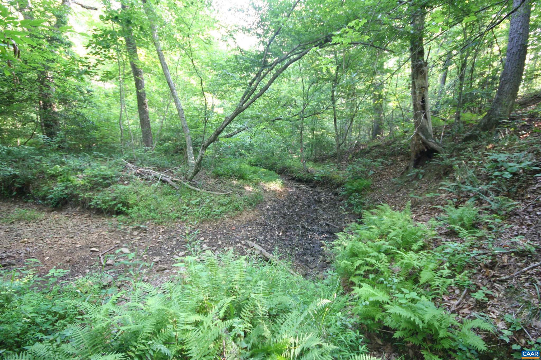 Tba Ridge Road, Unit 1 Arvonia, VA 23004 - Photo 44 of 50