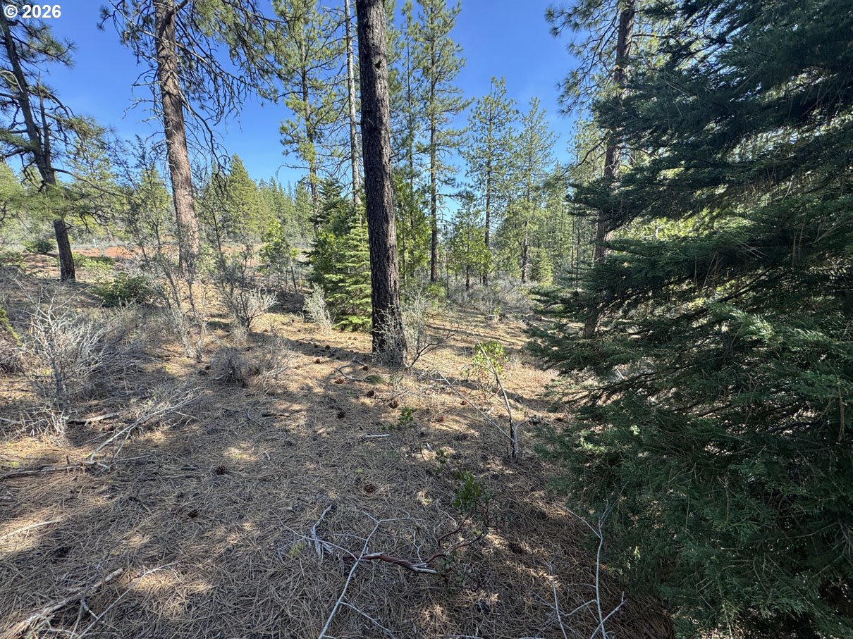 Cardinal Drive, Unit 4 Bonanza, OR 97623 - Photo 11 of 41