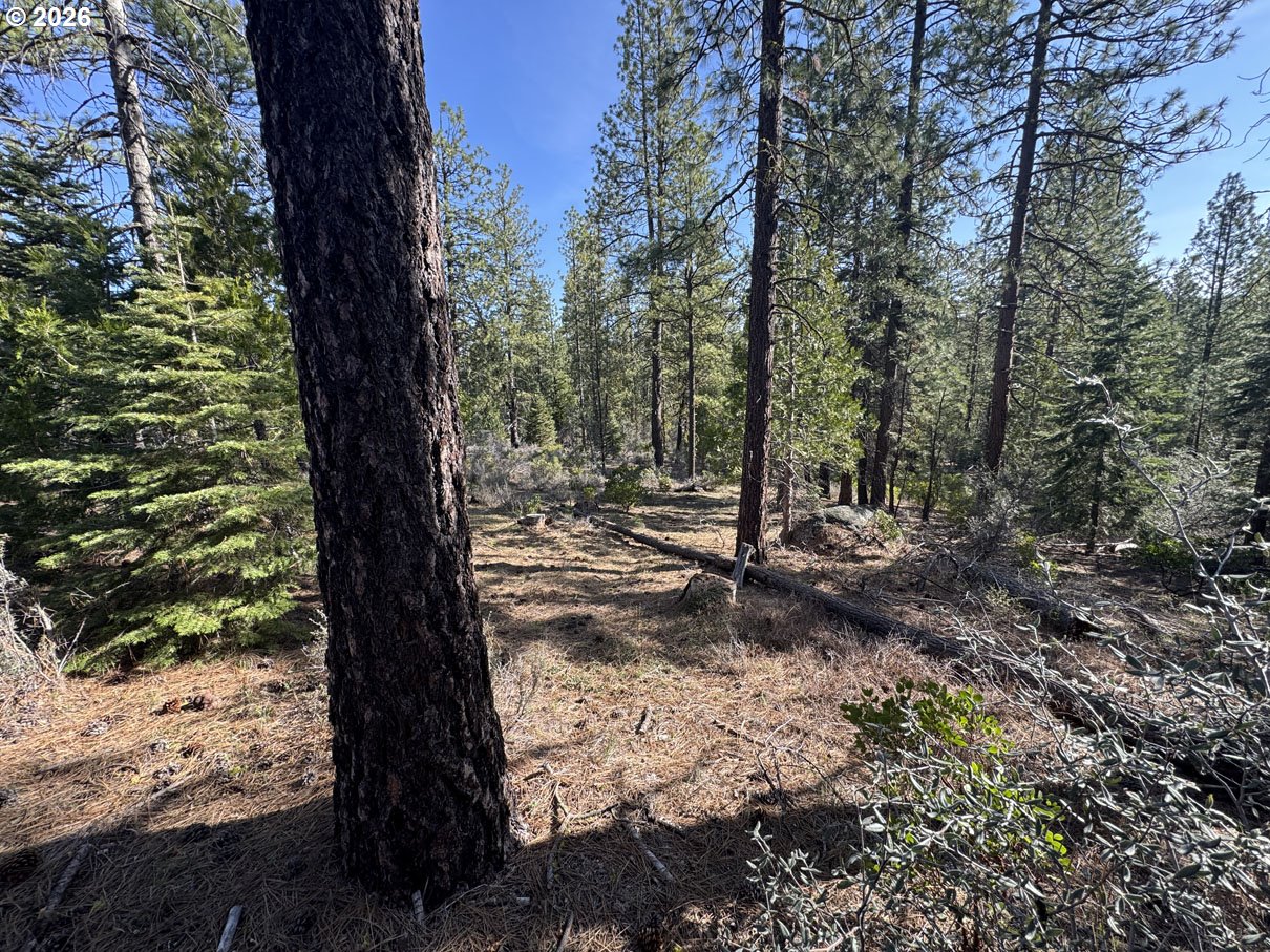 Cardinal Drive, Unit 4 Bonanza, OR 97623 - Photo 12 of 41