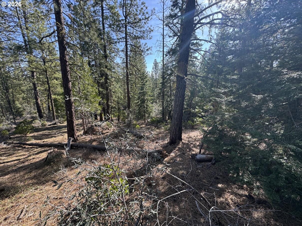 Cardinal Drive, Unit 4 Bonanza, OR 97623 - Photo 13 of 41