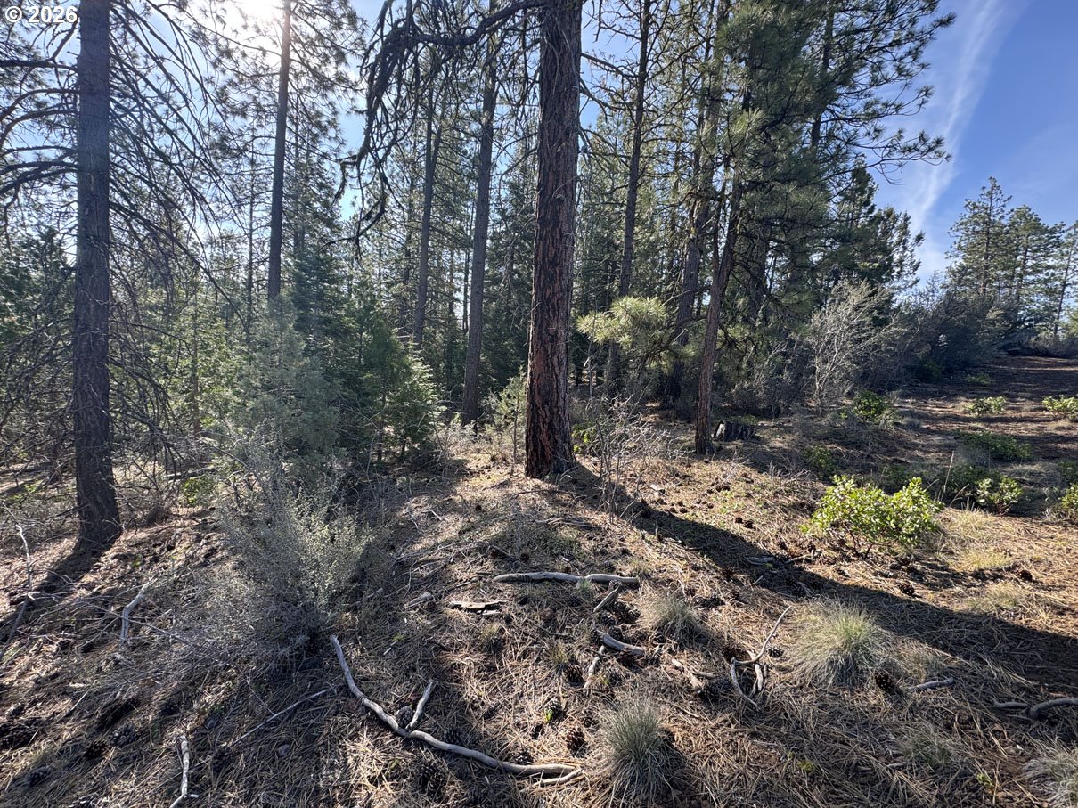 Cardinal Drive, Unit 4 Bonanza, OR 97623 - Photo 14 of 41