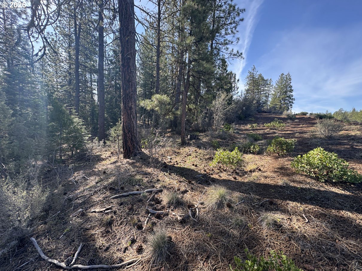 Cardinal Drive, Unit 4 Bonanza, OR 97623 - Photo 15 of 41