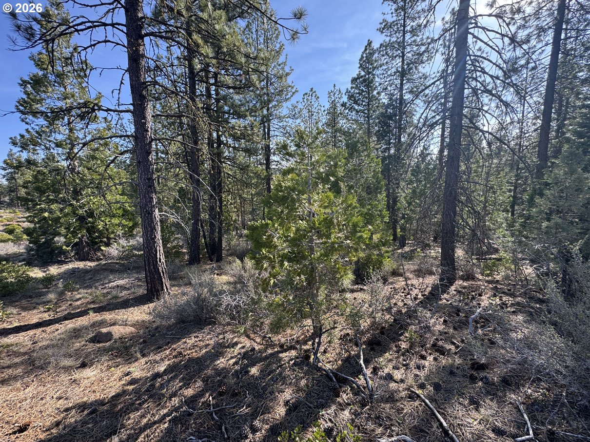 Cardinal Drive, Unit 4 Bonanza, OR 97623 - Photo 16 of 41