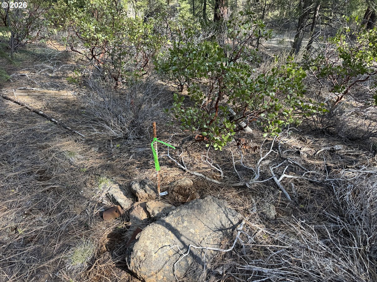 Cardinal Drive, Unit 4 Bonanza, OR 97623 - Photo 18 of 41