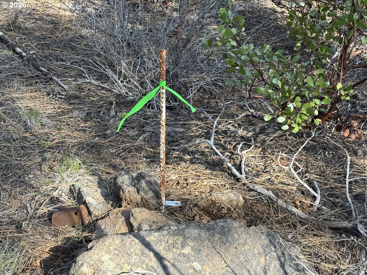 Cardinal Drive, Unit 4 Bonanza, OR 97623 - Photo 19 of 41