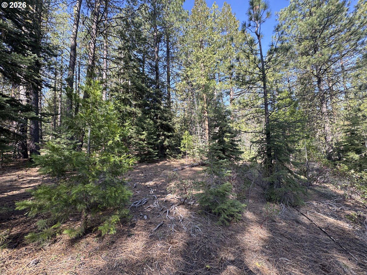 Cardinal Drive, Unit 4 Bonanza, OR 97623 - Photo 20 of 41