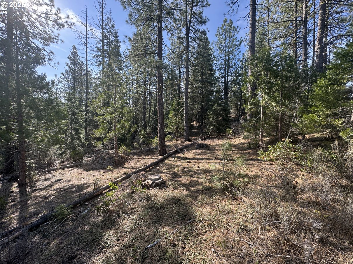 Cardinal Drive, Unit 4 Bonanza, OR 97623 - Photo 2 of 41