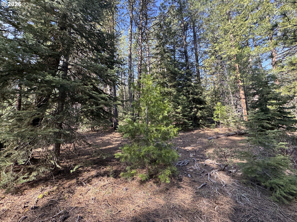 Cardinal Drive, Unit 4 Bonanza, OR 97623 - Photo 21 of 41