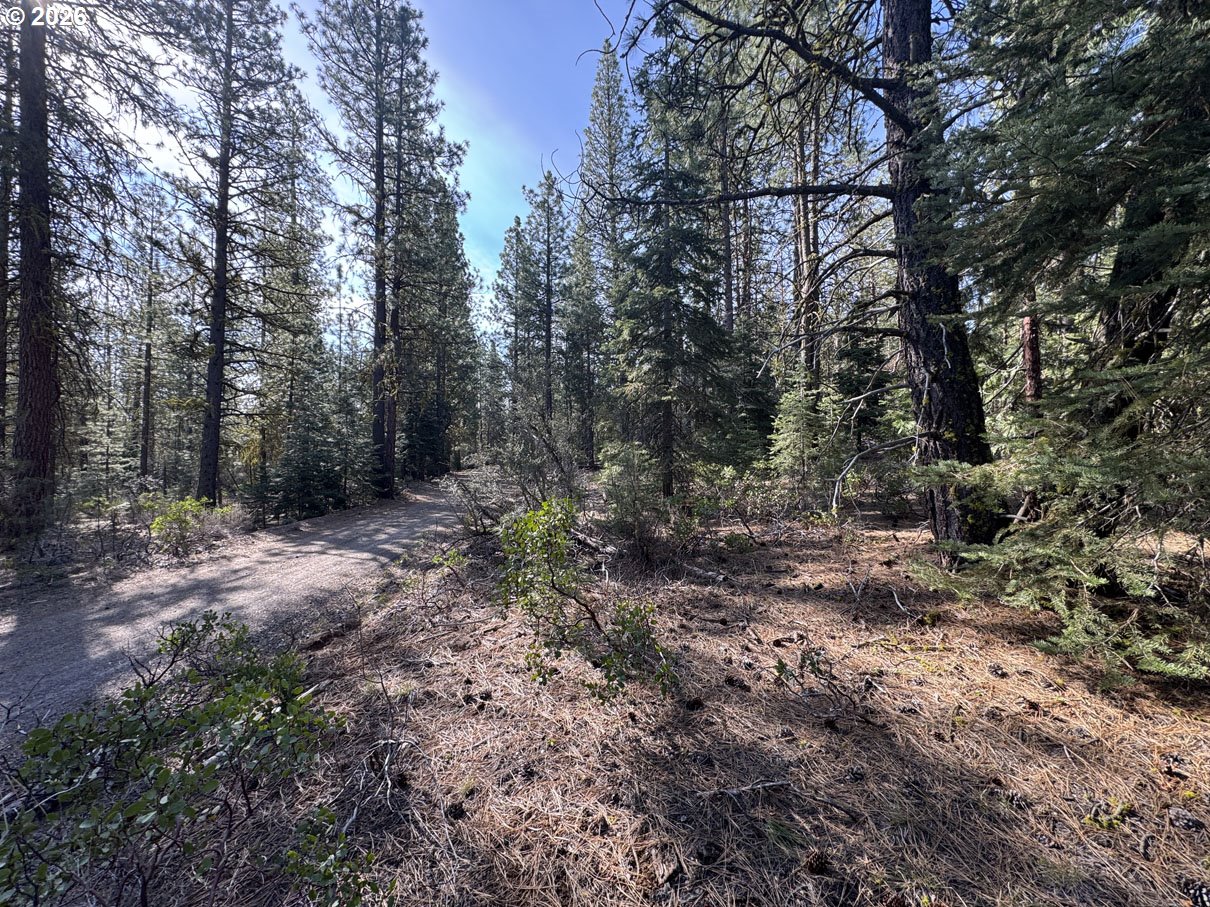 Cardinal Drive, Unit 4 Bonanza, OR 97623 - Photo 22 of 41