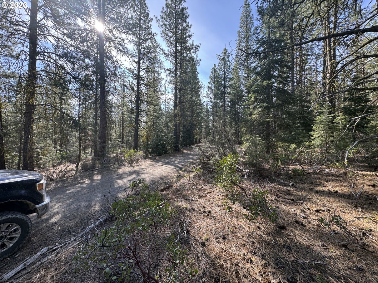 Cardinal Drive, Unit 4 Bonanza, OR 97623 - Photo 23 of 41