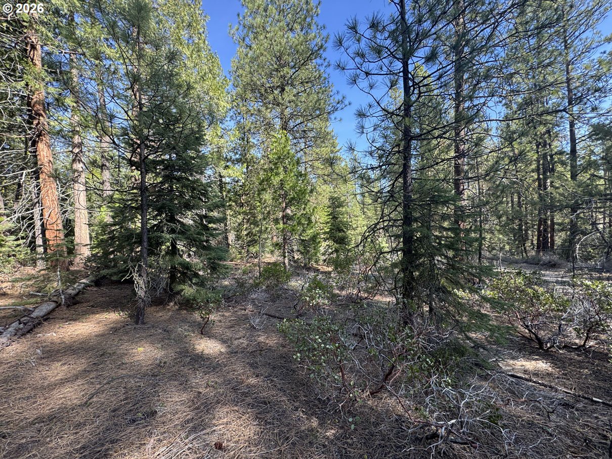 Cardinal Drive, Unit 4 Bonanza, OR 97623 - Photo 24 of 41