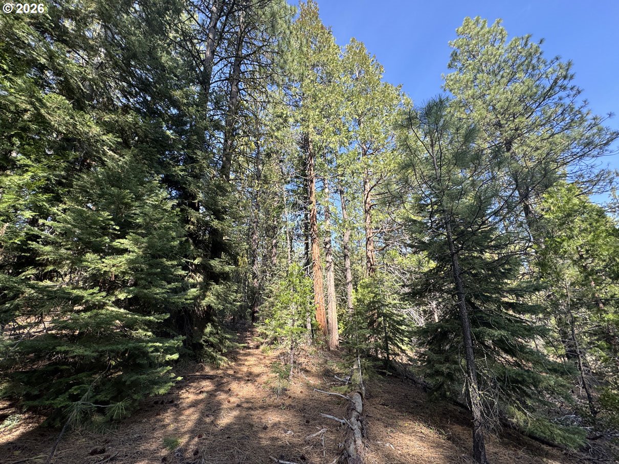 Cardinal Drive, Unit 4 Bonanza, OR 97623 - Photo 25 of 41