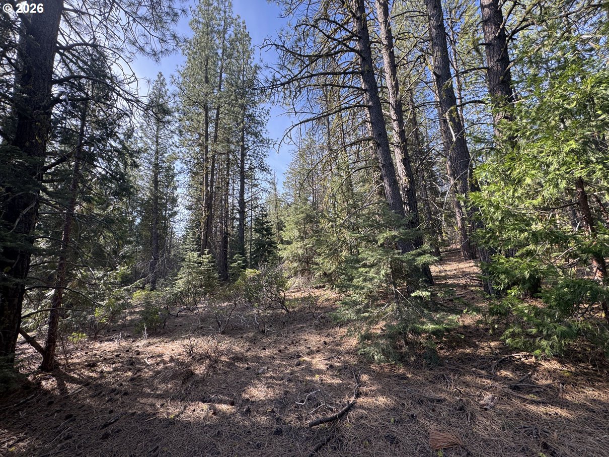 Cardinal Drive, Unit 4 Bonanza, OR 97623 - Photo 26 of 41