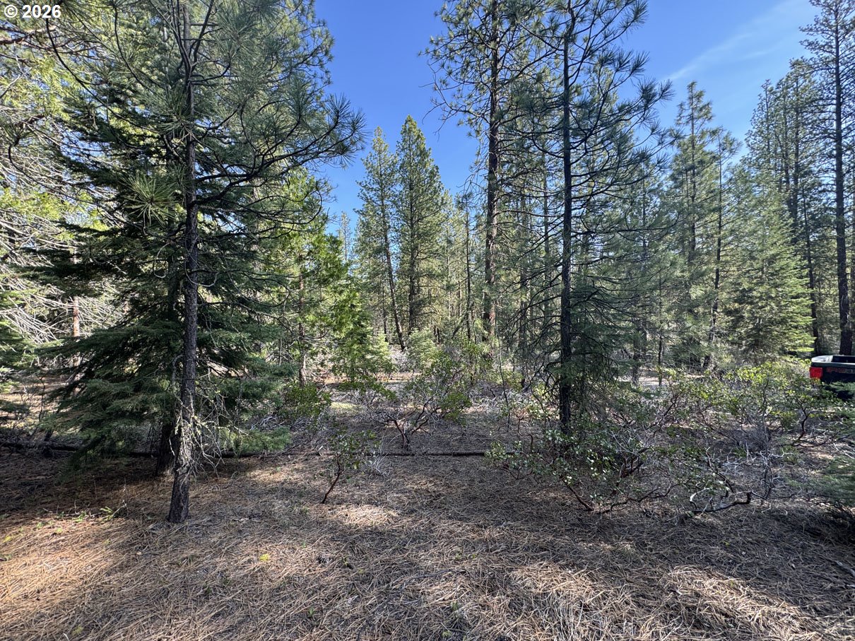 Cardinal Drive, Unit 4 Bonanza, OR 97623 - Photo 27 of 41