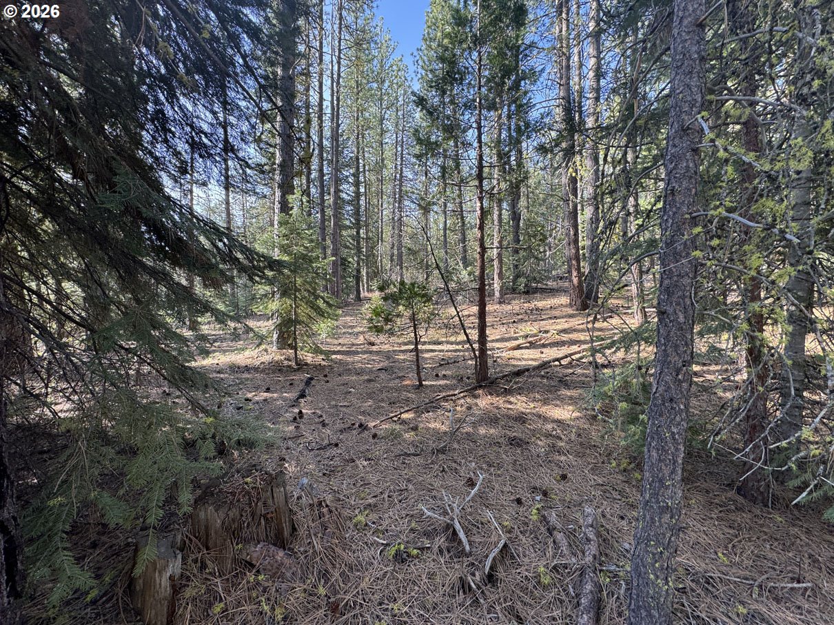 Cardinal Drive, Unit 4 Bonanza, OR 97623 - Photo 28 of 41