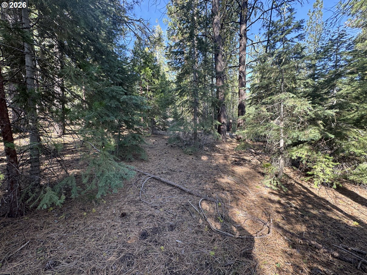 Cardinal Drive, Unit 4 Bonanza, OR 97623 - Photo 29 of 41